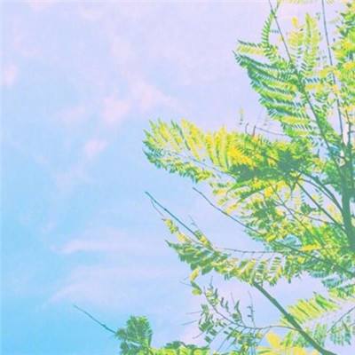 呦呦西游ol官方下载
