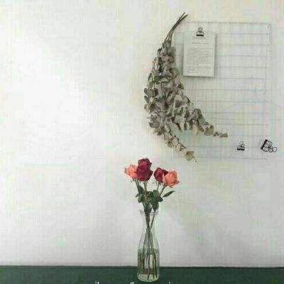 文明与秩序手游下载
